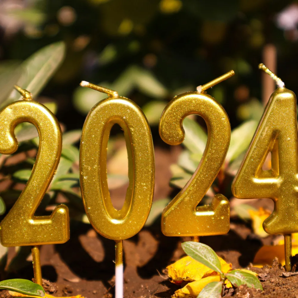 Tendências de Decoração para Casamentos em 2024
